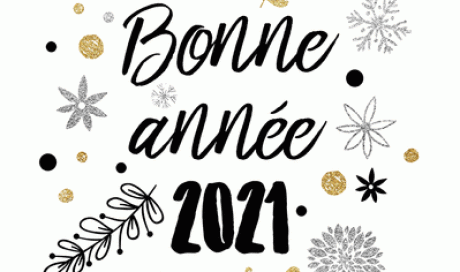 Prodatec - Bonne année 2021 - Détection périmétrique en Île de France