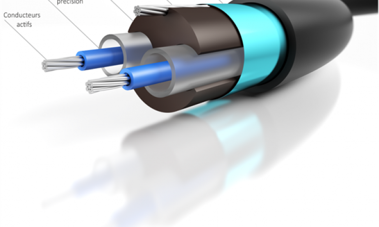 Nouvelle génération de câble sensitif permettant la détection d'humain escaladant ou coupant le câble sensor